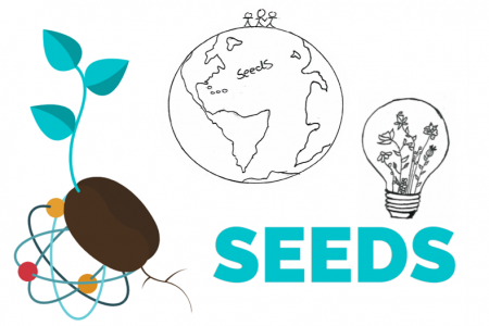 SEEDS Logo with a world icon and a lightbulb icon